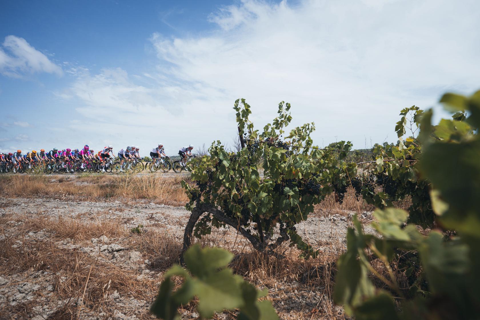 Vuelta 2026 : la 3e étape vers Font-Romeu annulée sous la grêle