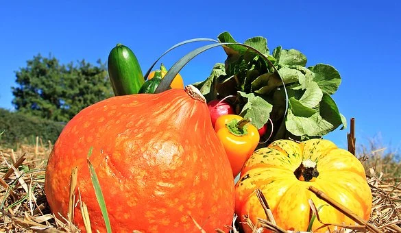 Melles organise son autonomie alimentaire dans une démarche de sobriété et zéro déchet