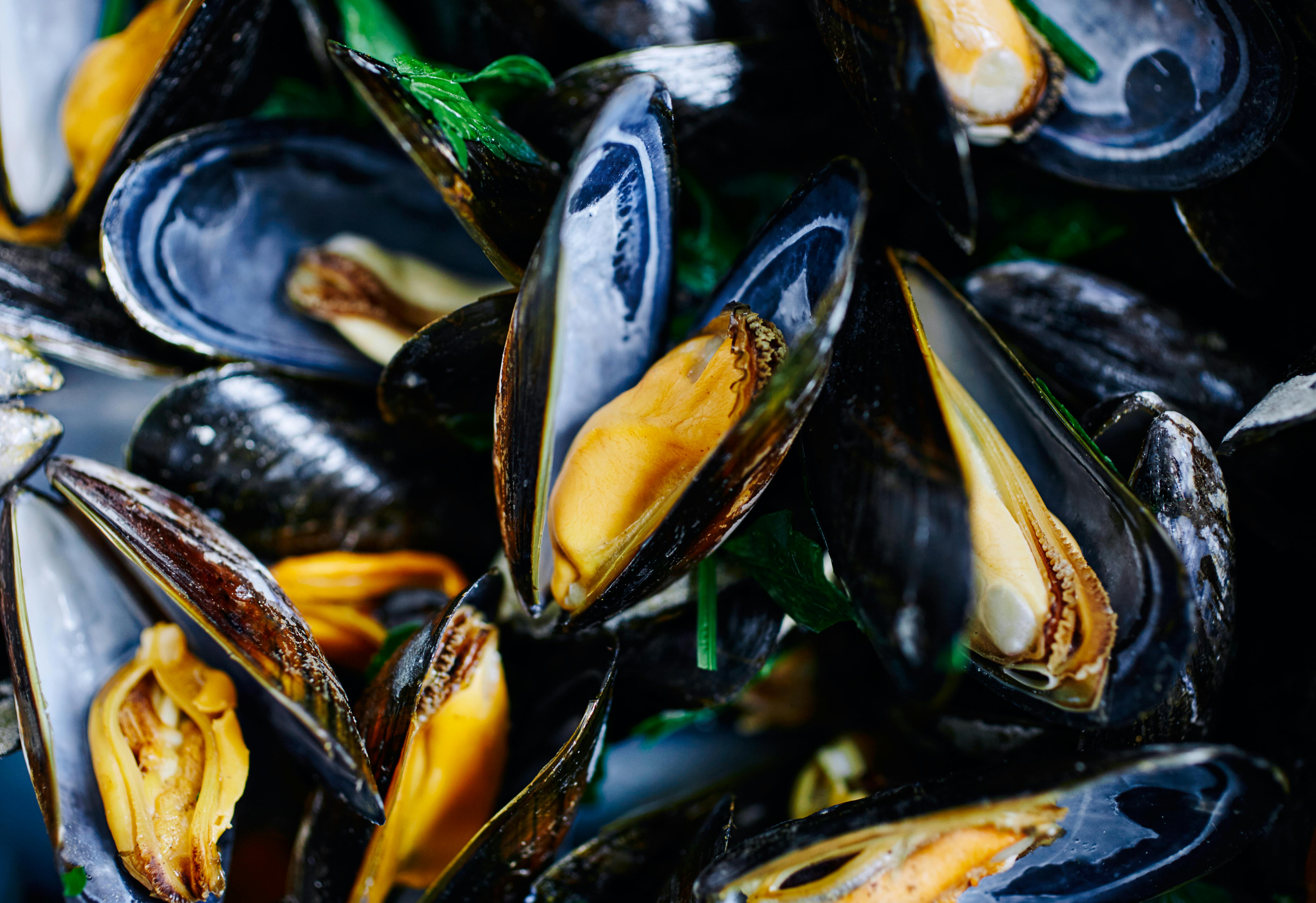 Avec Poiscaille les moules tiennent la corde