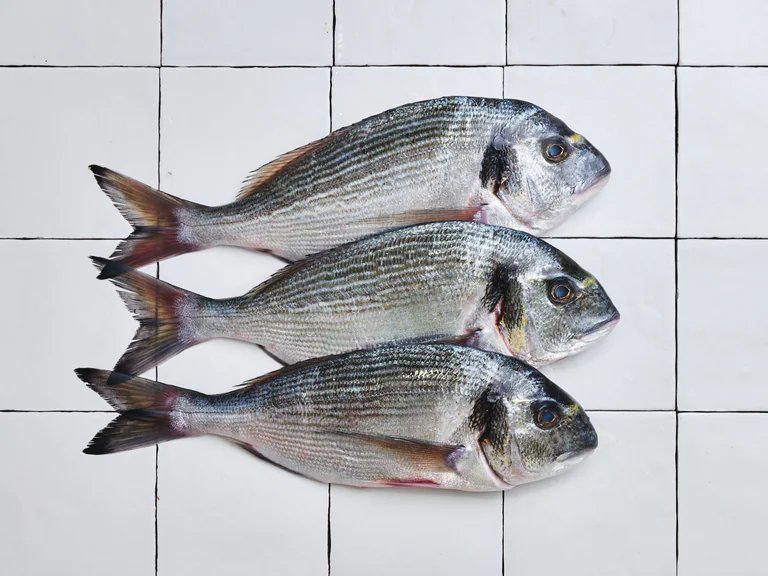 Poiscaille et les casiers de la mer