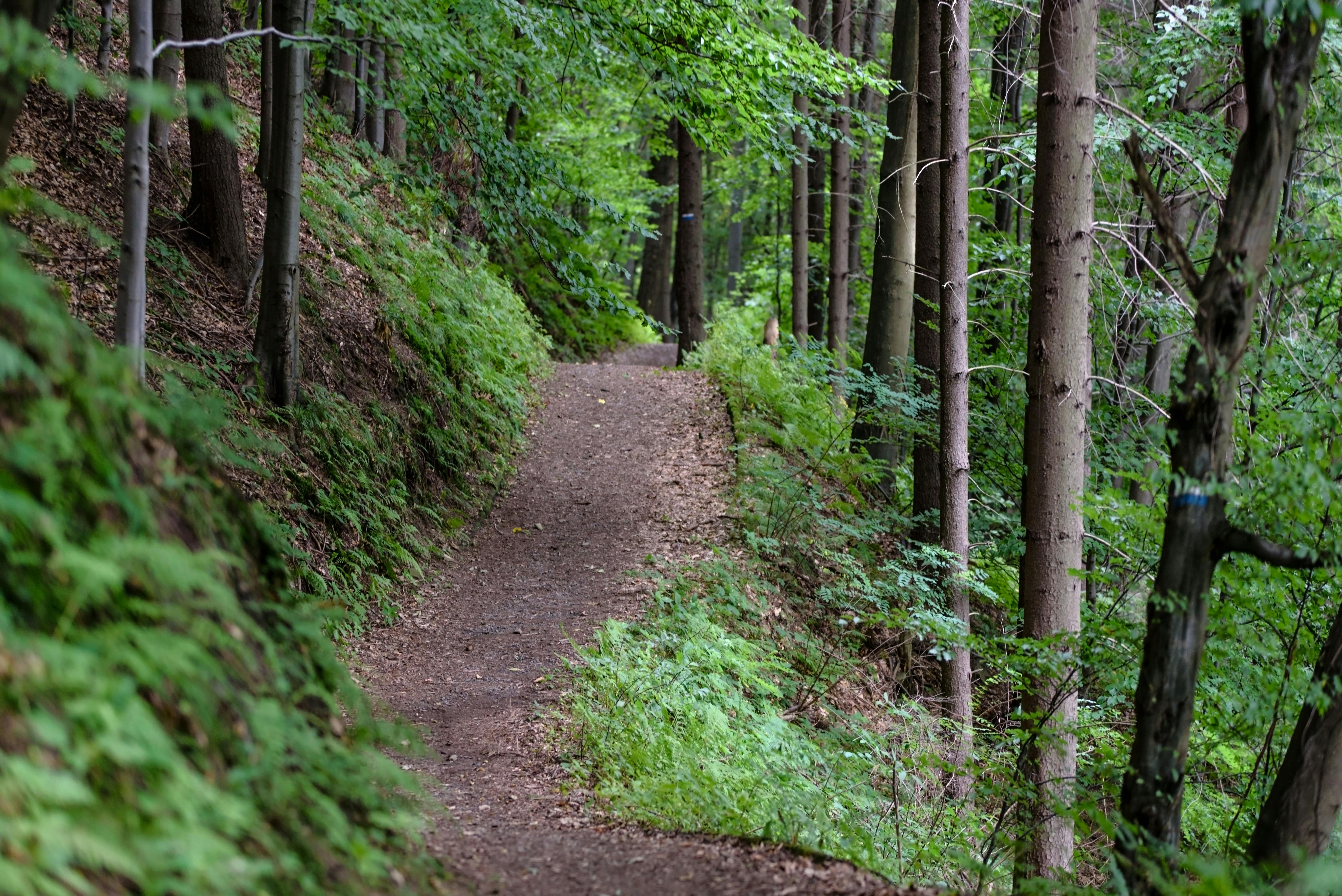 La révolution verte du running français