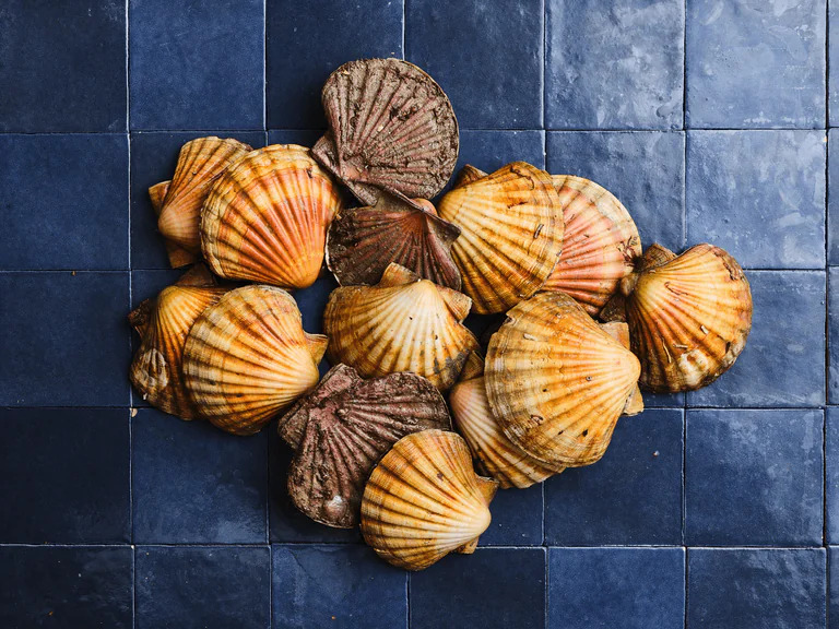Poiscaille : 20 € offerts sur votre premier panier de la mer