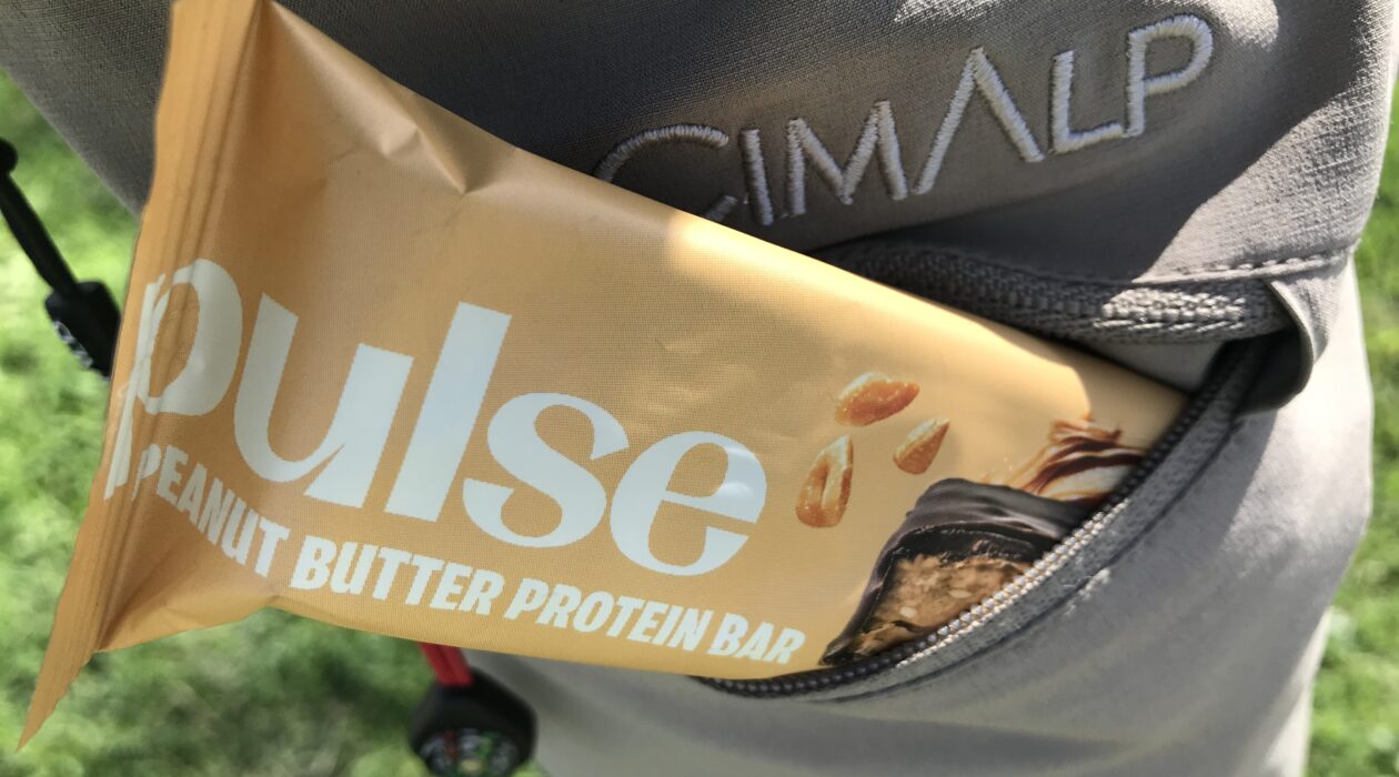 Pulse Protein — protéines végétales bio. 10% de réduction avec le code MELLES750