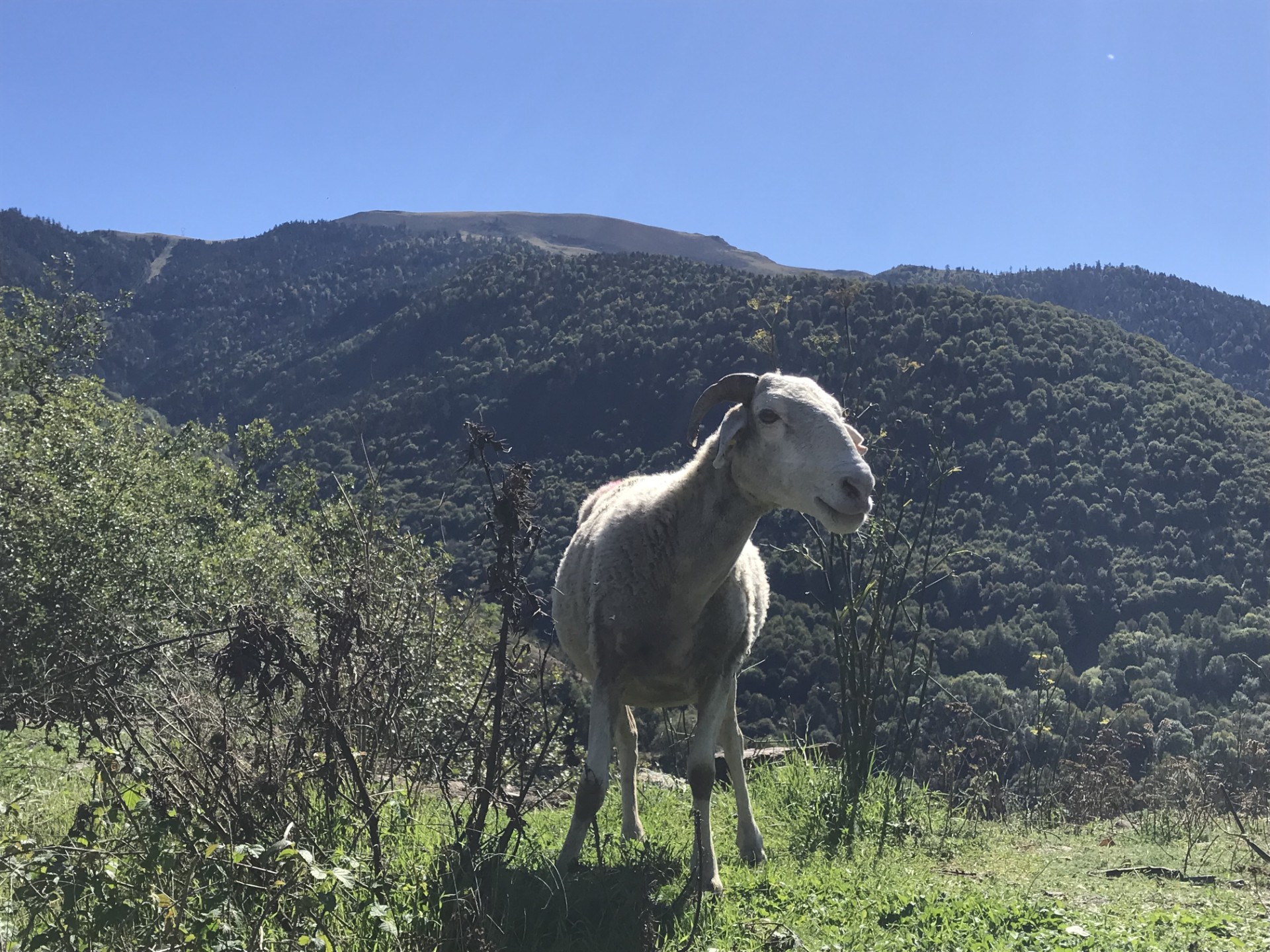 Luchon : que faire pendant les vacances de la Toussaint ?