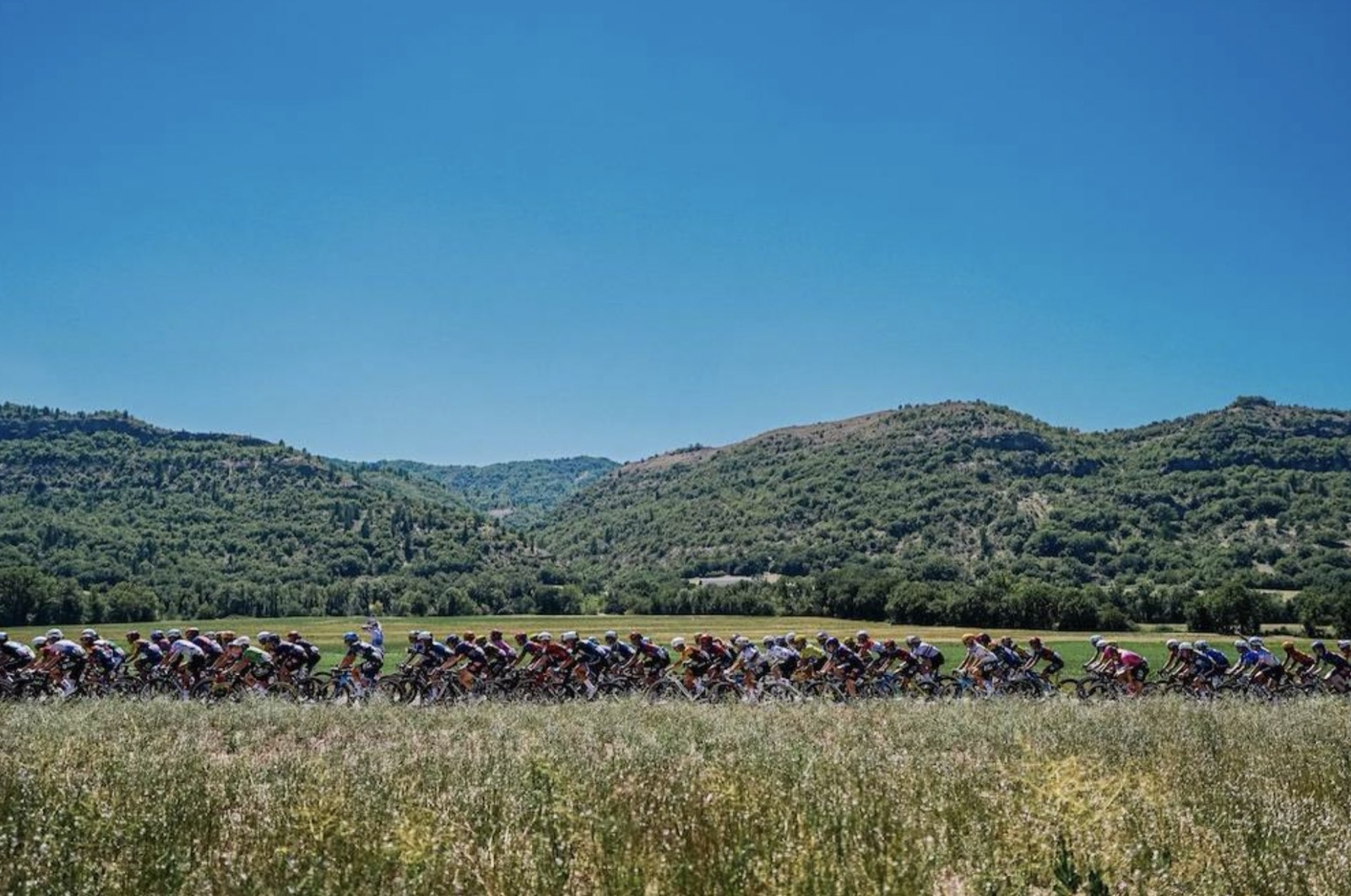 Étape 8 à Nice : Vollering gagne et reprend le maillot jaune